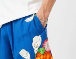 Pleasures Heart Shorts 9 Pleasures Heart Shorts -Obey Geschaft sz 651595 d