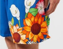 Pleasures Heart Shorts 10 Pleasures Heart Shorts -Obey Geschaft sz 651595 e